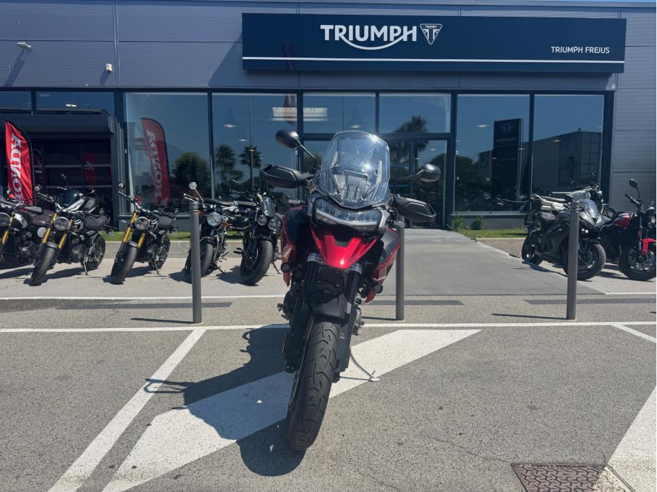 TRIUMPH TIGER 1200 GT PRO